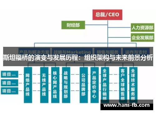 斯坦福桥的演变与发展历程：组织架构与未来前景分析