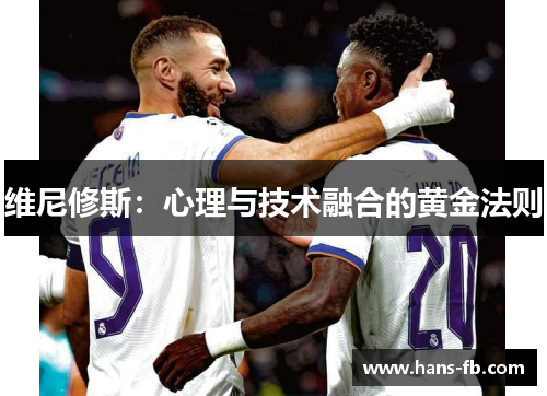 维尼修斯：心理与技术融合的黄金法则