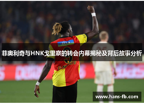 菲奥利奇与HNK戈里察的转会内幕揭秘及背后故事分析 菲奥利奇与HNK戈里察的转会内幕揭秘及背后故事分析
